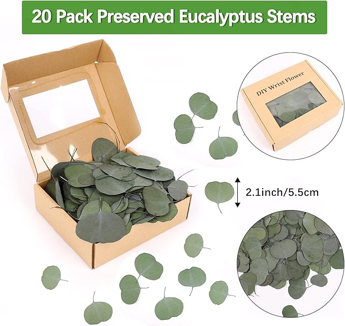 Real Eucalyptus Leaves for Shower 500PCS Green Dried Eucalyptus Leaves Bulk for Wedding Home Party Bridal Showers Baby Shower DIY Garland Cake Table Center Spring Decorations