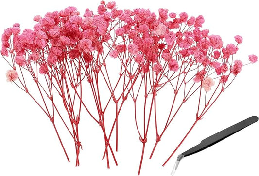 PATIKIL Mini Dried Gypsophila Flower Kit, 30Pcs 4 Inch Pink Natural Pressed Floral Bundles with Tweezer for DIY Resin Crafts Gift Wedding Christmas Card Decor Flower Bouquets