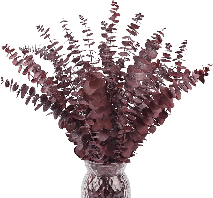Real Dried Eucalyptus Stems, 20Pcs 17inch Red Preserved Fresh Eucalyptus Stems Plant for Home Vase Wedding Festival Floral Arrangement Fall Decoration