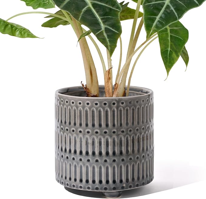 STHIE 5 Inch Ceramic Planters for Indoor Plants, Gray Cactus Snake Plant Pots with Drainage, Unique Design Round Flower Pot for Home Decoration