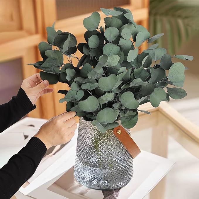 Real Eucalyptus Stems 20PCS Dried Preserved Fresh Eucalyptus Silver Dollar Leaves for Shower - Greenery Branches for Wedding Home Party Vase Filler Spring Decor