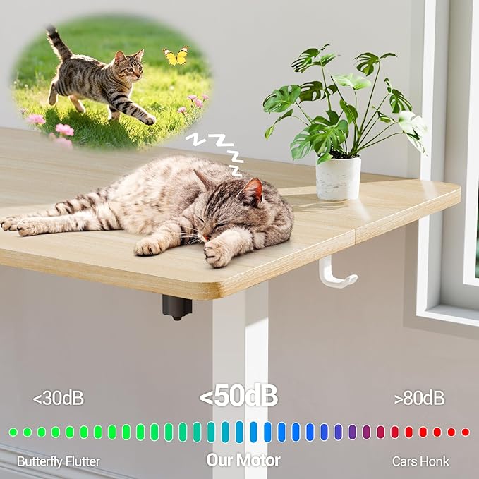 Veken 55 Inch Large Electric Standing Desk, 4 Memory Heights Adjustable,Sit to Stand Up, Work Home Office Computer Table for Study, Walking Pad, Writing, and Games, Wooden Desktop Desks, Nature Wood