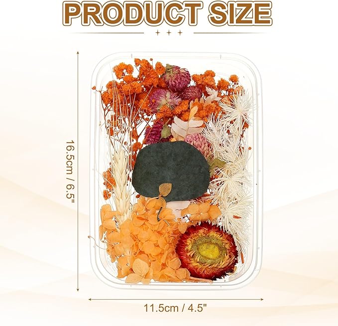uxcell Natural Dried Flower Set, Dried Pressed Flowers Dry Leaves Bulk Natural Plants Kit Dried Flower Bouquets for Scrapbooking Crafts Resin Jewelry Candle (Orange)