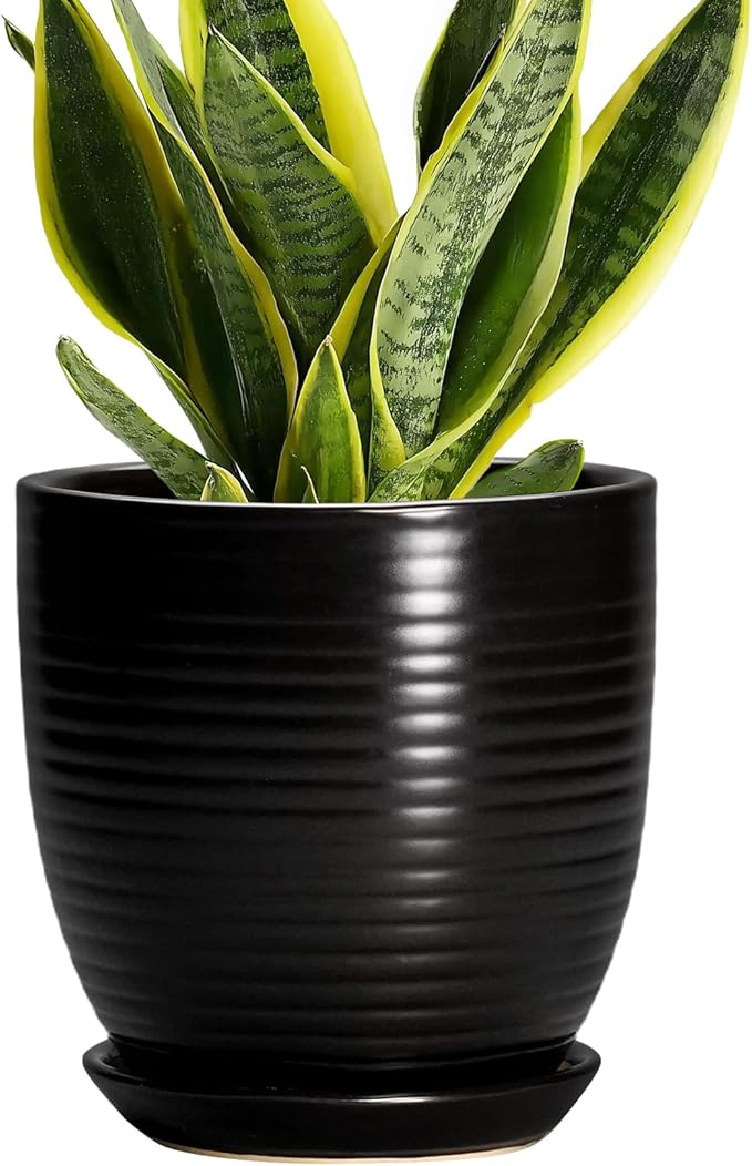 6 Inch Plant Pot - Ceramic Planters for Indoor Outdoor Plants, Modern Flower Pots with Drainage Hole and Saucer, Round Ceramic Planter, Office Room Decor, Gifts for Plant Lovers, Matte Black