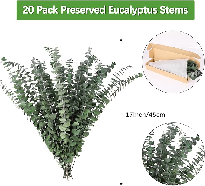 Real Dried Eucalyptus Stems, 20PCS Preserved Eucalyptus Plant 17inch Fresh Eucalyptus Greenery Plant for Vase Home Shower Wedding Festival Home Decoration
