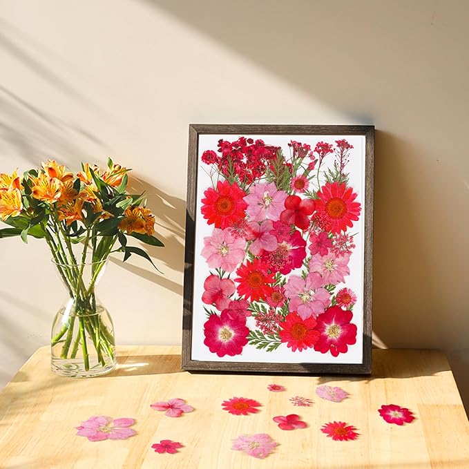37Pcs Red Dried Pressed Flowers Natural Dried Flowers for Resin,Real Pressed Flowers for Crafts,Dry Flowers for Resin Molds DIY Scrapbookin Candle Jewellery Making
