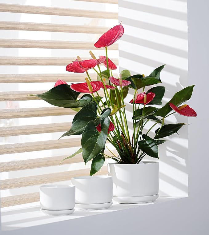 Ton Sin Ceramic Pots for Plants, 4.4+5.4+6.9 Inch Set of 3, Matte White Flower Pot & Plant Pot with Drainage Hole Saucer, Small Indoor Planters for Succulent Cactus, Home Decor Gift