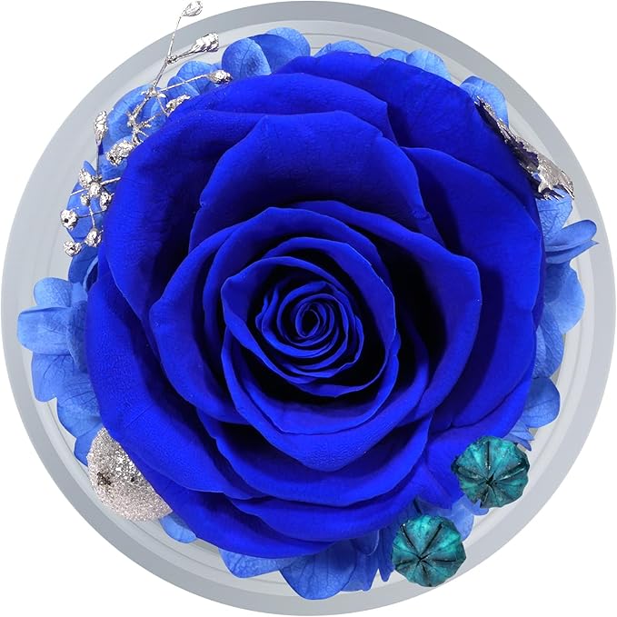Sunia Preserved Flower Rose Gift for Women - Mother's Day Birthday Gifts for Mom Wife Grandma, Glass Angel Figurines Forever Real Roses Gifts for Her Valentine Day Thanksgiving