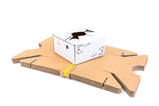Cardboard Vase Boxes for Delivery - Florist Boxes (8"x 8"x 4") - Bundle of 10