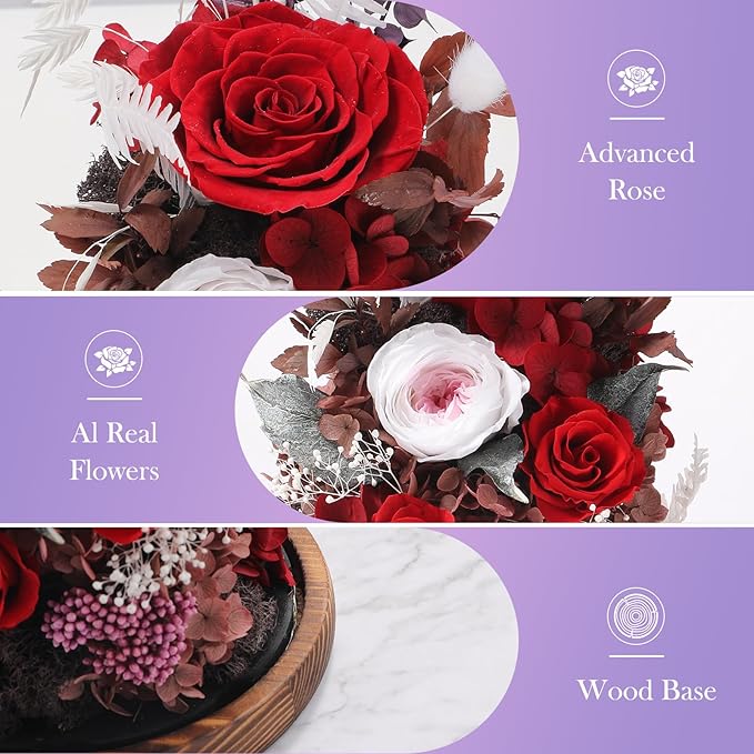 Eternal Rose Rose Red Flower Preserved Long Lasting Stable Color Natural Material Symbol of Everlasting Love for Wife Mothers Select Anniversary Rose Gift Birthday Present Christmas