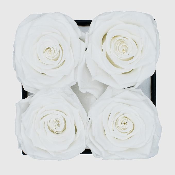Graceful Fleurs | Real Long Lasting Roses for Years | Preserved Fresh Flowers for Delivery Birthday | Birthday Gifts for Women | Forever Roses in a Box (White, Black Box, 4 Roses)