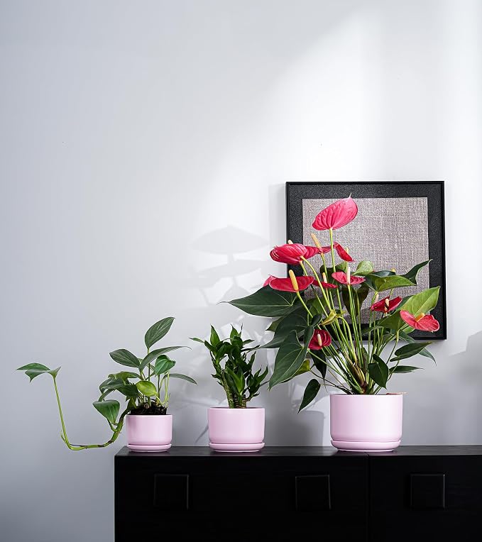 Ton Sin Pink Flower Pots,Ceramic Planter Pot for Indoor Plants,Set of 3 Flower Pot with Drainage Holes and Tray,Cute House Plant Pot for Succulent, Orchid, Cactus(Matte Pink)