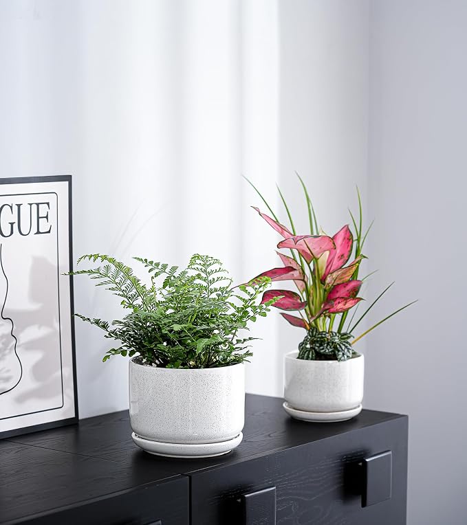 Ton Sin Plant Pots, 4.1+5.1+6.5 inch, Set of 3, Ceramic Planters with Drainage Hole and Saucer, Indoor Flower Pot with Drainage Hole, Gifts for Mom(Reactive Glaze White)