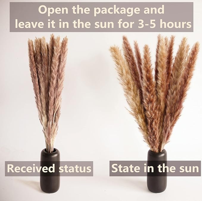 400 PCS Small Boho Pampas Grass, 17" Naturally Dried Pompas, Pampas Grass Decor for Wedding , Boho Party Decorations, Table Decor（Brown and White）
