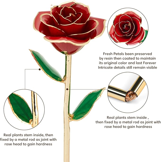 Gold Dipped Infinity Rose Last Forever Flower Decor, Birthday Gift for Women in Her Birthday Mothers Day, Resin Preserved Rose | Anniversary Present for Mom (Red)