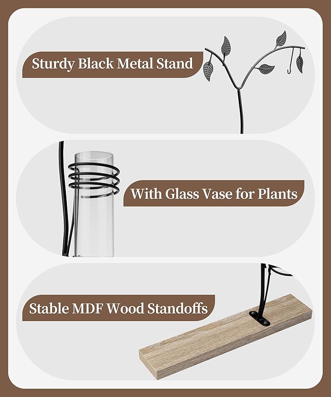 Afuly 5x7 Picture Frame with Glass Vase for Plants Flowers, Desk Picture Frames Floating Photo Frame for Office Home Decor, Unique Anniversary Mothers's Day Gifts for Grandma Mom, Light Brown