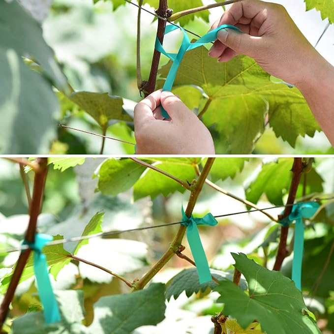 10 Pcs 150 Feet x 1/2" Wide Stretch Tie Tape Green Plant Garden Tie, Garden Vinyl Stake for Branches, Climbing Planters, Flowers