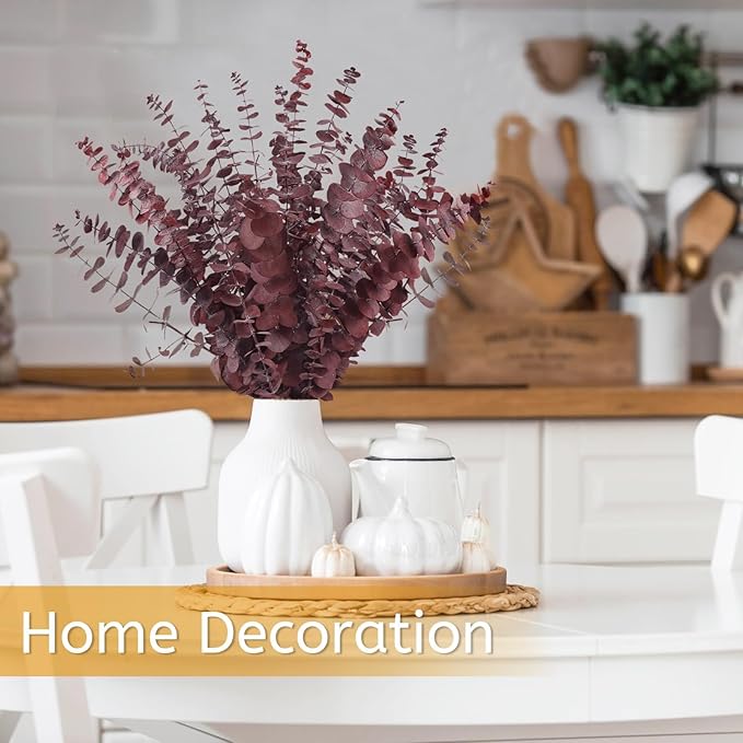 Real Dried Eucalyptus Stems, 20Pcs 17inch Red Preserved Fresh Eucalyptus Stems Plant for Home Vase Wedding Festival Floral Arrangement Fall Decoration