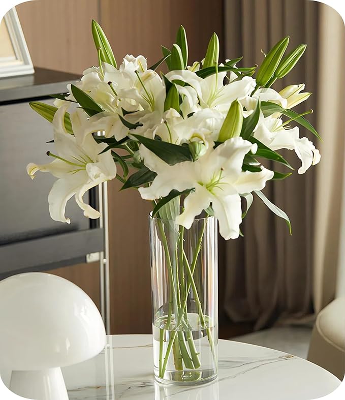 Olrla 2 Sets Tall Transparent Acrylic Flower Vase Height 11.61'', Shatter-Proof Clear Cylinder Vase for Rose and Lily Flowar Arrangement