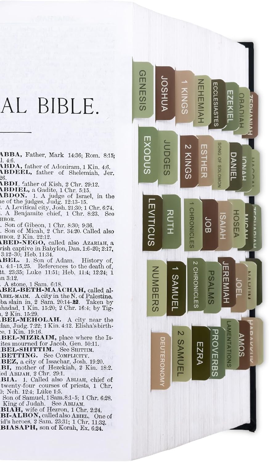 Skiennix Bible Tabs - Laminated Boho Theme Indexing Tabs for Easy Navigation - Matcha Color