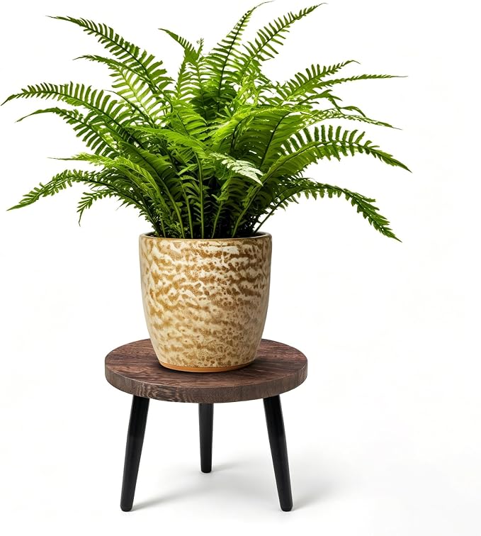 Heavy Duty Plant Stool, 10 Inch Wooden Plant Stand for Indoor Outdoor, Sturdy Metal Legs Single Plant Holder Supports 150 lbs, Fits 5-12 Inch Pots