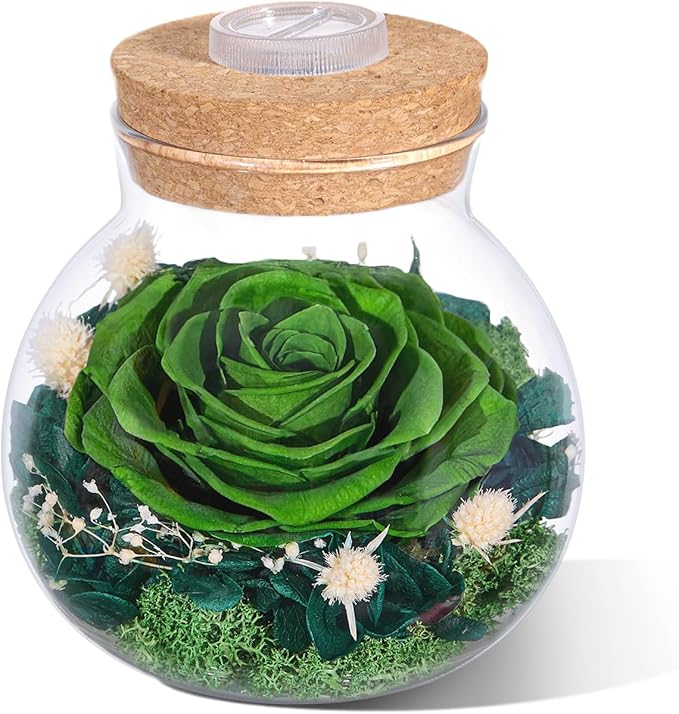 Christmas Birthday Gifts for Women Mom Preserved Rose Eternal Forever Flower in Glass Wishing Bottle with Colorful LED Light Flowers for Delivery Prime for Grandma Wife Sister Friend from Daughter