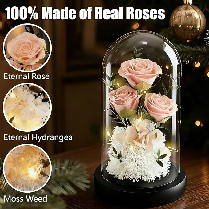 Birthday Gifts for Women Mom Fresh Flowers for Delivery Prime Forever Preserved Rose in Glass Dome Gifts for Her Girlfriend Grandma Daughter Wife Valentines Mothers Day Christmas Anniversary-Champagne