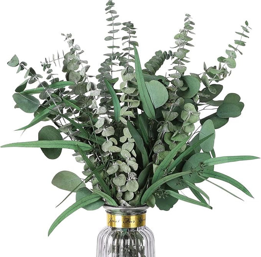 Eucalyptus Stems Mixed Dried Eucalyptus Bundle 15PCS Natural Eucalyptus Stems Greenery Plant for Wedding Bouquet Shower Hanging Home Spring Decoration