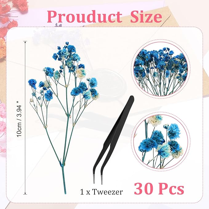 PATIKIL Mini Dried Gypsophila Flower Kit, 30Pcs 4 Inch Dark Blue Natural Pressed Floral Bundles with Tweezer for DIY Resin Crafts Gift Wedding Christmas Card Decor Flower Bouquets