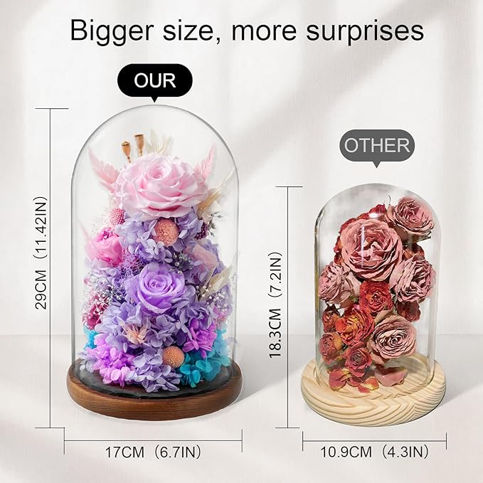 Flowers for Delivery - Forever Flowers Rose in Glass Dome with LED Lights, Large Size Preserved Roses Gifts for Women, Mom, Wife, Friend -Birthday, Anniversary, Valentine's Day Gift (Pink + Purple)