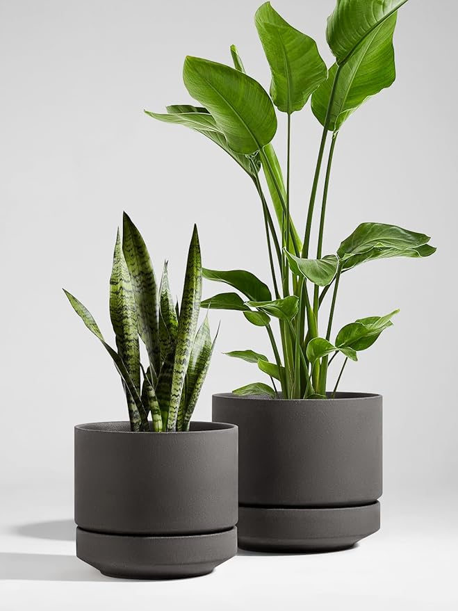 LE TAUCI 14 Inch Large Plant Pot with Saucer, Ceramic Outdoor & Indoor Big Planter with Drainage Hole, Mesh Pad & Plug Included, Unglazed Porous, Modern for Home and Patio, Charcoal Gray