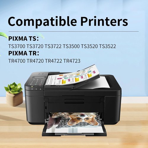 Canon 275XL Ink Cartridge Replacement - High-Yield Black Ink for PIXMA Printers | 2-Pack