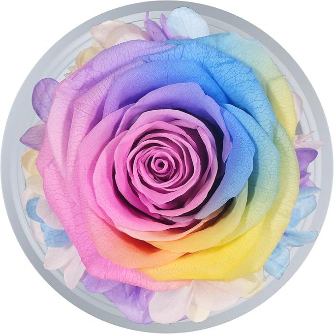 Sunia Preserved Flower Rose Gift for Women - Mother's Day Birthday Gifts for Mom Wife Grandma, Glass Angel Figurines Forever Real Roses Gifts for Her Valentine Day Thanksgiving﻿ (Rainbow)