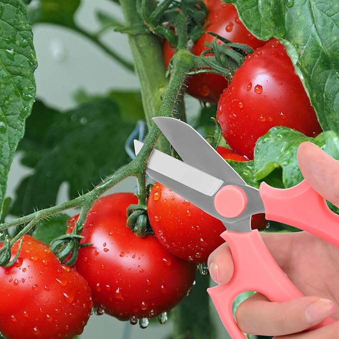Housolution Flower Scissors, Strong Floral Shears, Premium Steel Garden Pruning Shears Garden Scissors Floral Fruits Leaf Scissors Hand Pruner Snip Trimming Tool for Gardening Flower Arrangement, Pink