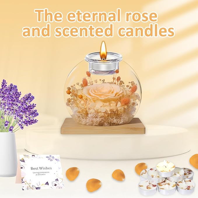 DEEMEI Gifts for Women Birthday Gifts for Women Preserved Real Rose in Glass Dome with Scented Fresh Flowers for Delivery Prime Eternal for Her Mom Grandma Wife Girlfriend Daughter, Champagne