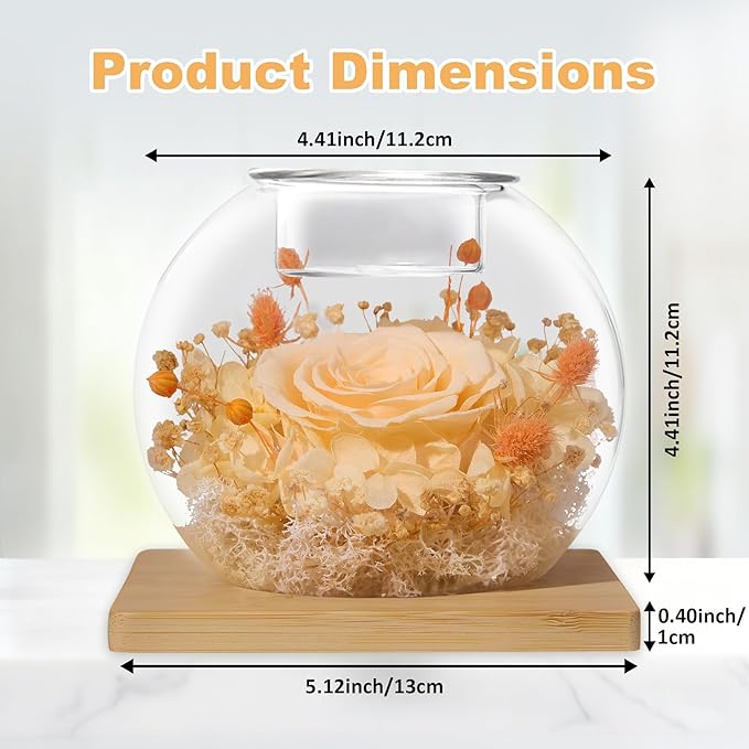 DEEMEI Gifts for Women Birthday Gifts for Women Preserved Real Rose in Glass Dome with Scented Fresh Flowers for Delivery Prime Eternal for Her Mom Grandma Wife Girlfriend Daughter, Champagne