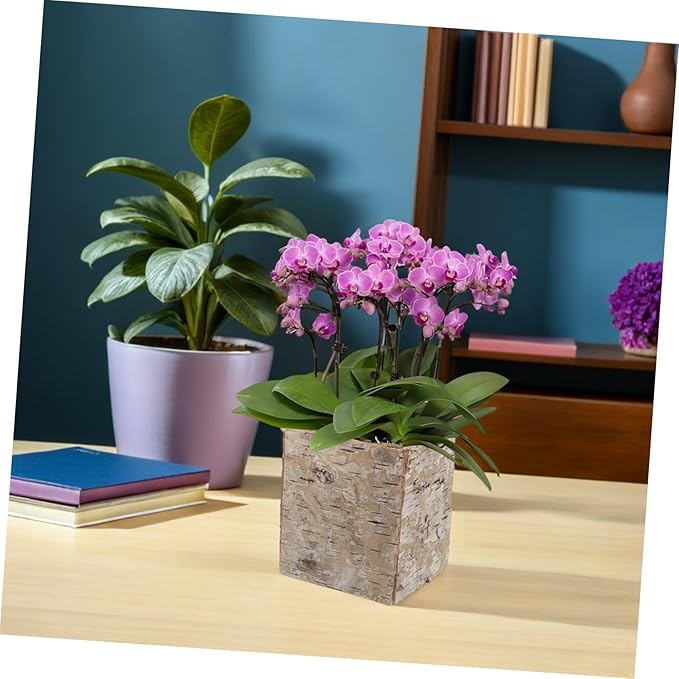 Birch Bark Succulent Planter Box Natural Wooden Flower Pot with Ventilation Vintage Rustic Vase for Home Office Patio Balcony Decor DIY Holiday Craft Container