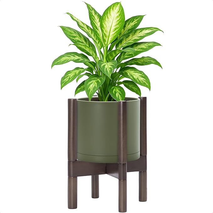D'vine Dev Planter Pot with Stand - 8 Inch Plastic Cylinder Flower Pot with Wood Planter Holder for Indoor, Olive Pot + Walnut Color Stand, 55-C-I-3