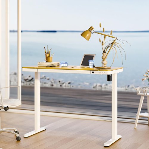 FLEXISPOT Electric Standing Desk - Adjustable Height with Drawer Storage & USB Ports | Natural Desktop & White Frame