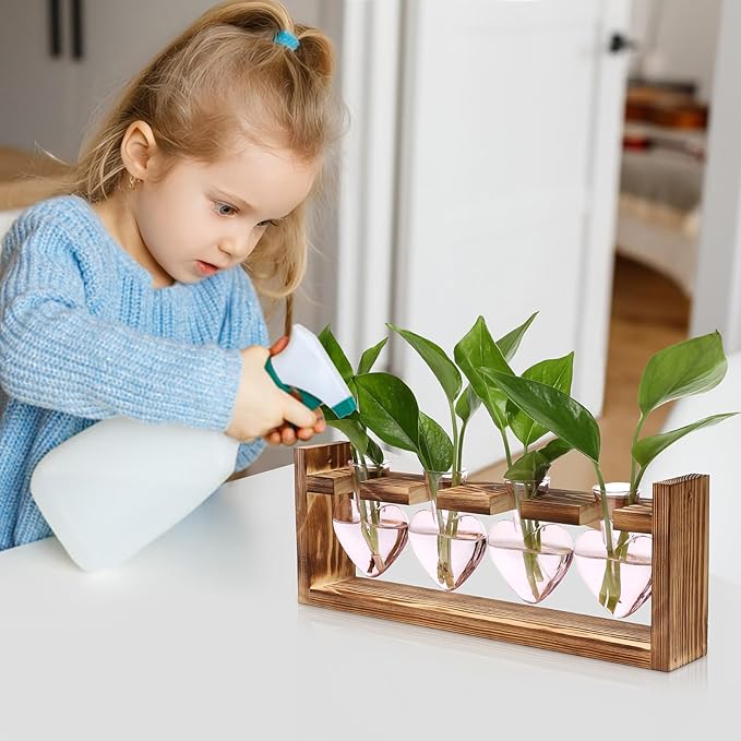 Heart Plant Terrarium Kit Gift for Women Plant Lover Glass Vases