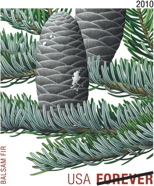 Holiday Evergreen Stamps by Forever - Pane of 20 for Festive Mailings