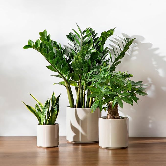 vancasso 6"+8"+10" Ceramic Pot for Plants, Large Outdoor Indoor Planter Pots with Drainage Holes, Set of 3, Grey