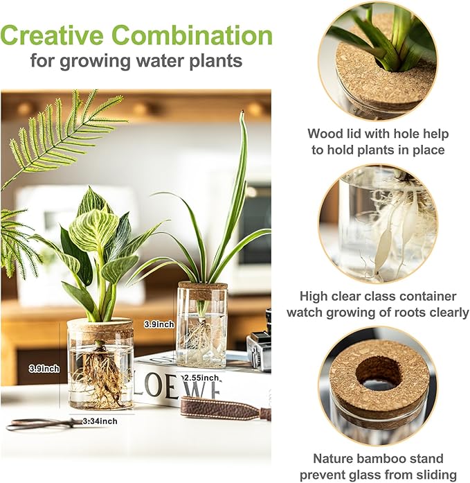 Glass Plant Propagation Stations for Plants – Set of 8(4 Large & 4 Small) Hydroponic Vases for Plant Cuttings,Flower Arrangements, Home & Office Decor–Desktop Vases for Living Room, Bedroom (8)