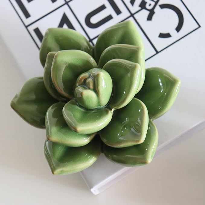 Ceramic Succulent Flowers Table Top with Stable Base, 3D Handmade Tablescape Decorative (Green 2)