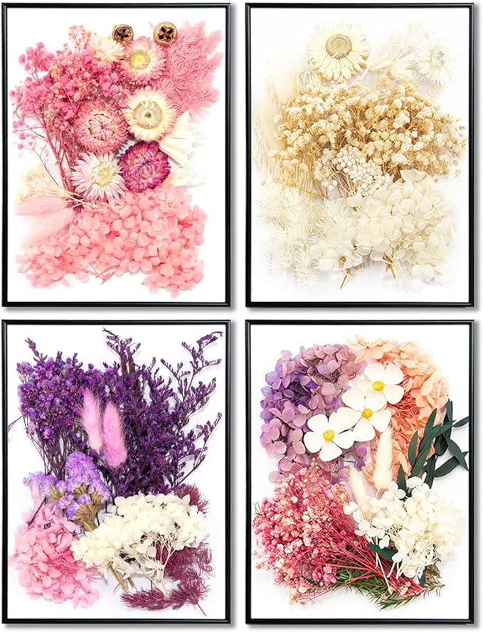 Vignee Real Dried Pressed Leaf Flowers-Multiple Colorful Pressed Flowers Daisies for Craft Resin Jewelry Making Art Craft DIY（White&Light Pink）