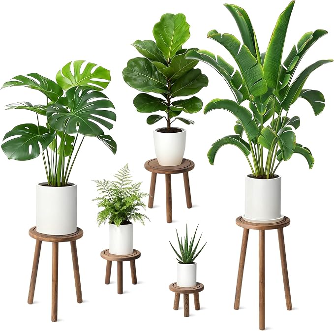 5-Pack Wood Plant Stands Indoor, Single Plant Stand for 6-22 Inch Pots, Mid-Century Modern Plant Stool, Tall Plant Stand for Large Plants Perfect Fit for Living Room, Balcony, Office(Dark Brown)