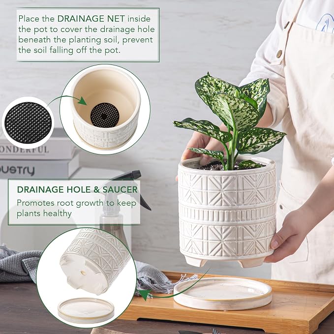Ceramic Plant Pots Indoor-Outdoor: 6 Inch Embossed Planters with Drainage Hole & Saucer - Modern Decorative Flower Pots for Home Garden Patio Office Decor