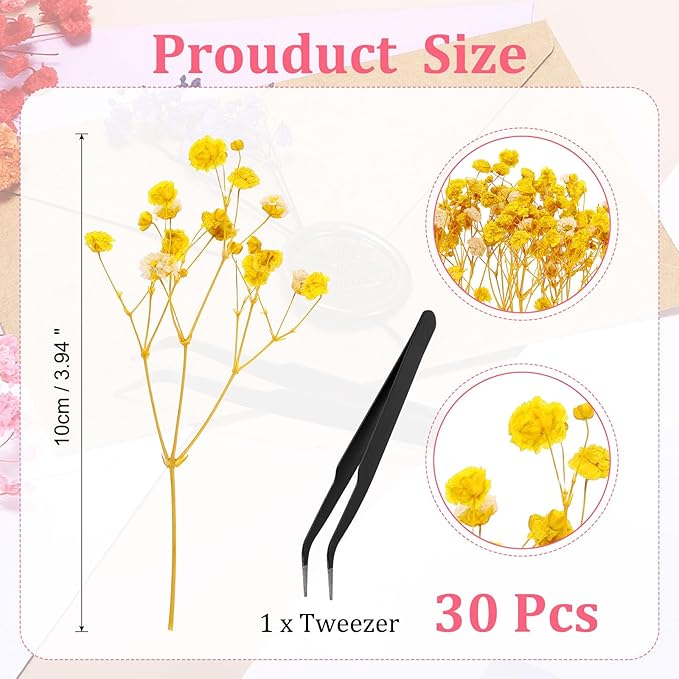 PATIKIL Mini Dried Gypsophila Flower Kit, 30Pcs 4 Inch Yellow Natural Pressed Floral Bundles with Tweezer for DIY Resin Crafts Gift Wedding Christmas Card Decor Flower Bouquets