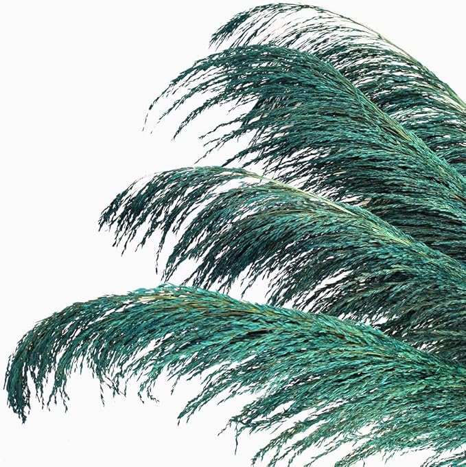 Pampas Grass Decor Tall,Long Pampas, Large Pompas Floral, Elegant Feather Flowers for Wedding Decorations, Living Room Decor (Natural Teal, 8pcs 31.5"(80cm))