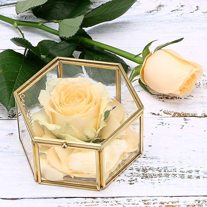 Hipiwe Preserved Flower Glass Box, Hexagon Glass Jewelry Decorative Bin, Ornate Trinket Display Organizer Case Keepsake Box Gift for Women